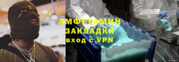 прущие грибы Абинск