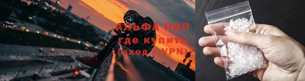 мяу мяу мука Михайлов