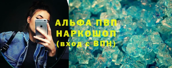 прущие грибы Абинск