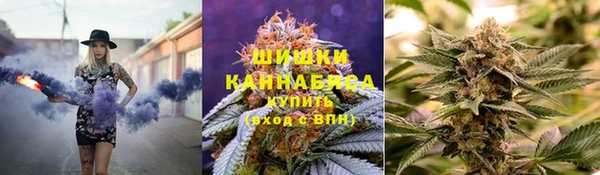 мяу мяу мука Абаза