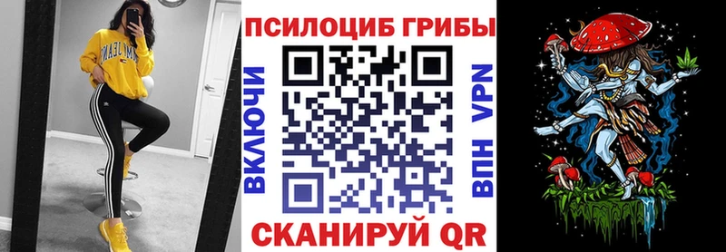 Псилоцибиновые грибы Psilocybine cubensis  Ядрин 